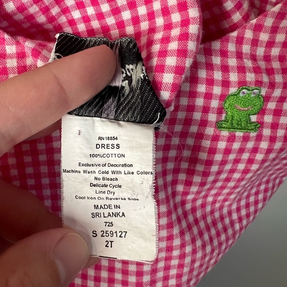 Rare Editions Pink & White Checkered Dress with Embroidered Cartoon Frogs 2T - Picture 4 of 6